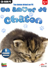 Un Amour de Chaton